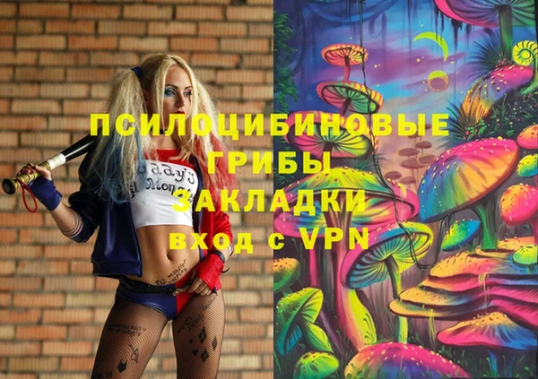 прущие крисы Арсеньев