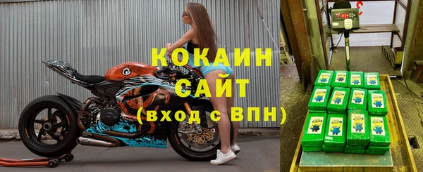 прущие крисы Арсеньев