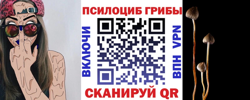 Галлюциногенные грибы Cubensis  Липки 